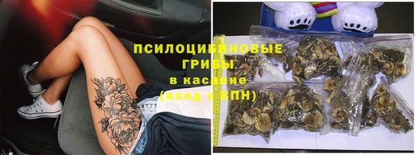 твердый Арсеньев