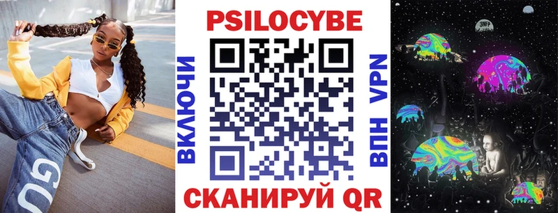 Купить  Великий Устюг  Галлюциногенные грибы Psilocybine cubensis 